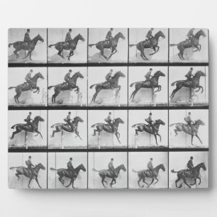 Man and horse jumping a fence, plate 640 from 'Ani Plaque