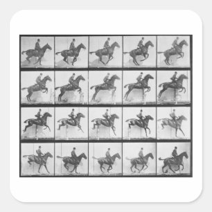 Man and horse jumping a fence, plate 640 from 'Ani Square Sticker