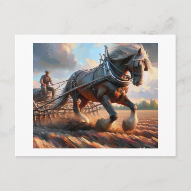 Man and Horse Plowing,  Postcard (Front)