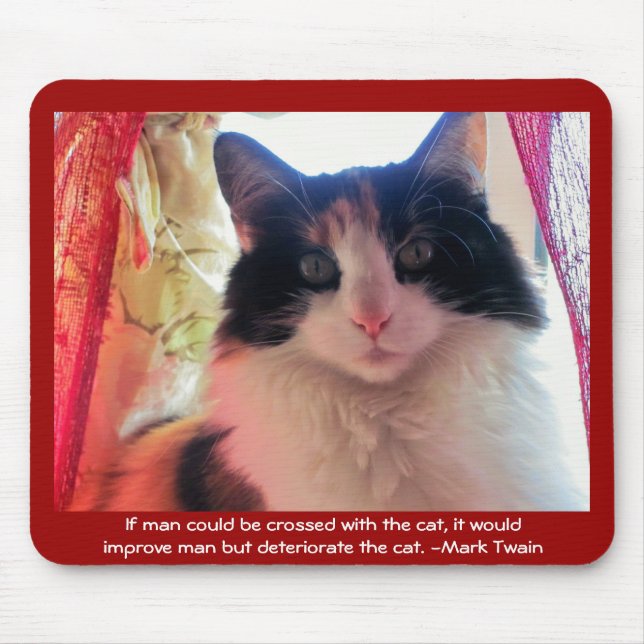 Man crossed with calico? mouse mat (Front)