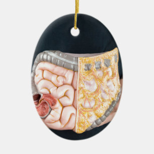 Man holding model of human intestines or bowels ceramic tree decoration