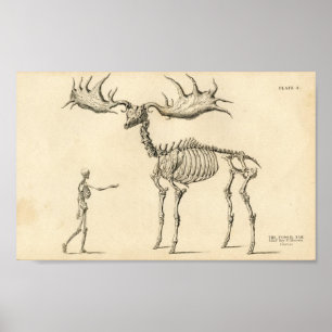 Man & Moose Vintage Poster