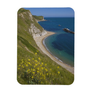 Man o War Bay, Jurassic Coast, Lulworth, Dorset, Magnet