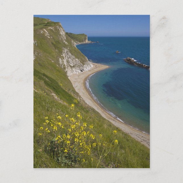 Man o War Bay, Jurassic Coast, Lulworth, Dorset, Postcard (Front)