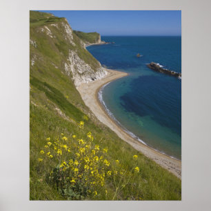 Man o War Bay, Jurassic Coast, Lulworth, Dorset, Poster
