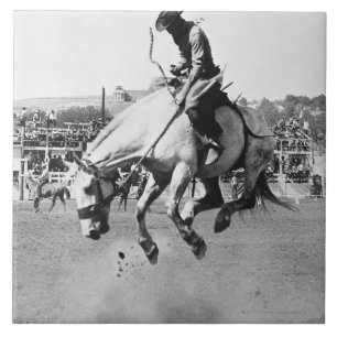 Man riding bucking horse in rodeo tile