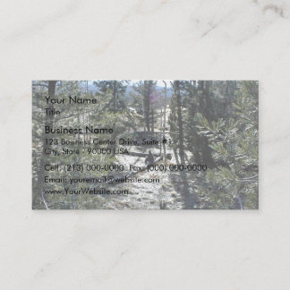 Man sitting on a log in a forest business card