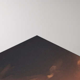 MAN V BEAST  CANVAS PRINT