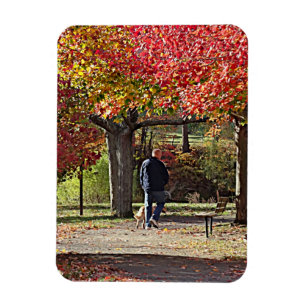 Man Walking Dog in Autumn Park Magnet