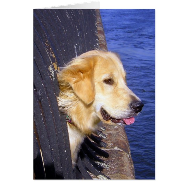 MAN..... WISH I KNEW HOW TO SWIM! (Front)