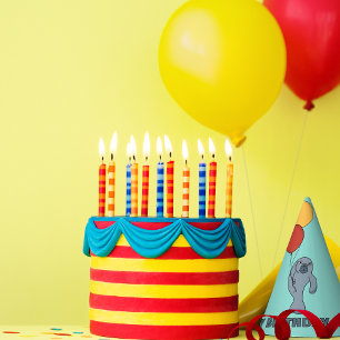 Manatee and Balloons Custom Birthday Party Party Hat