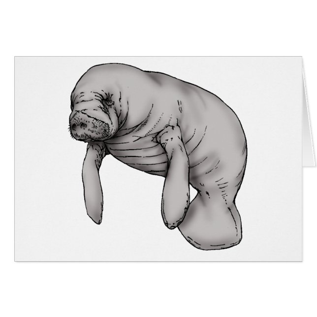 manatee art (Front Horizontal)