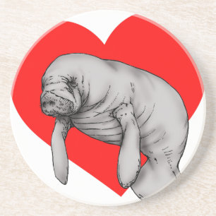manatee art coaster