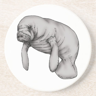 manatee art coaster