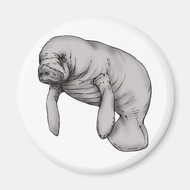 manatee art magnet (Front)