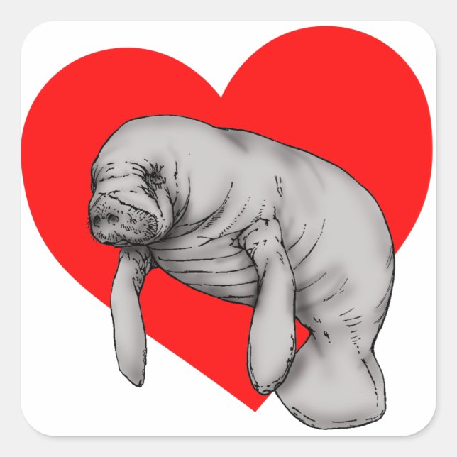 manatee art square sticker (Front)