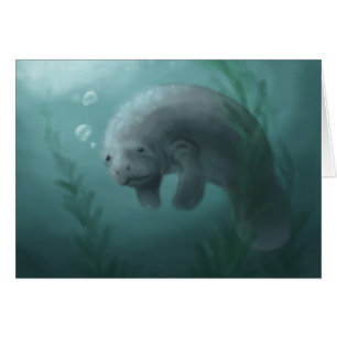 Manatee Card