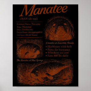 Manatee definition 90s respect the locals save the poster