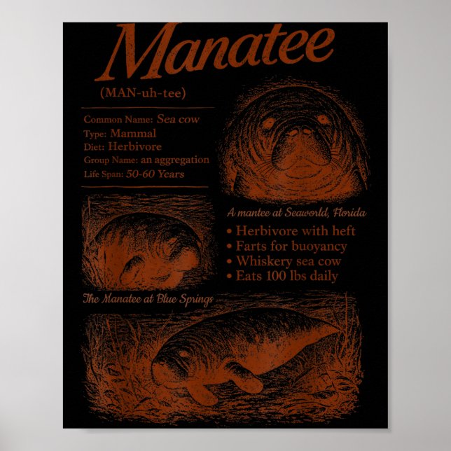 Manatee definition 90s respect the locals save the poster (Front)
