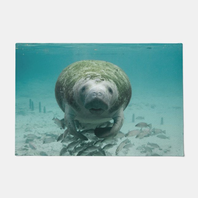 Manatee Doormat (Front)