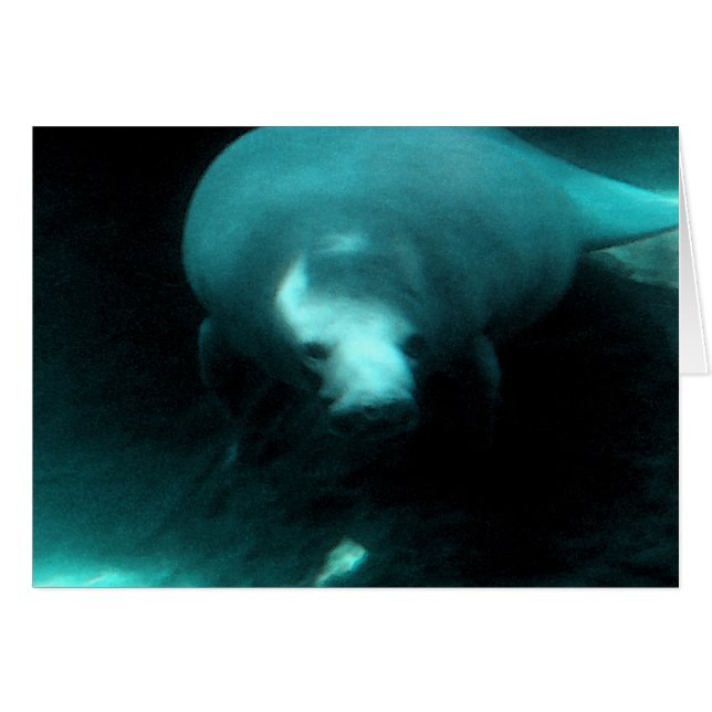 Manatee Dreams (Front Horizontal)