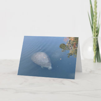 manatee greeting card #1 (blank inside) 