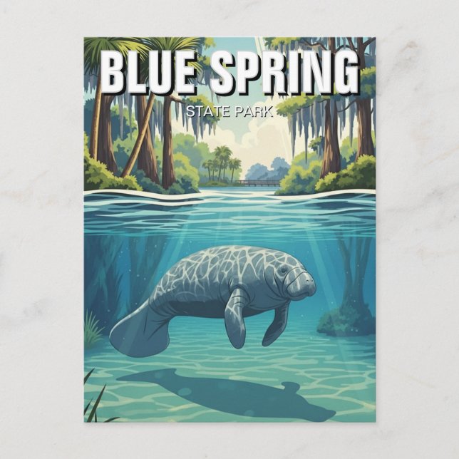 Manatee in Blue Spring State Park Postcard (Front)