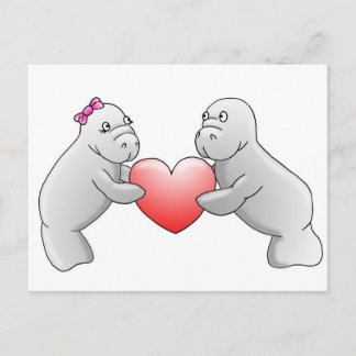 Manatee love postcard
