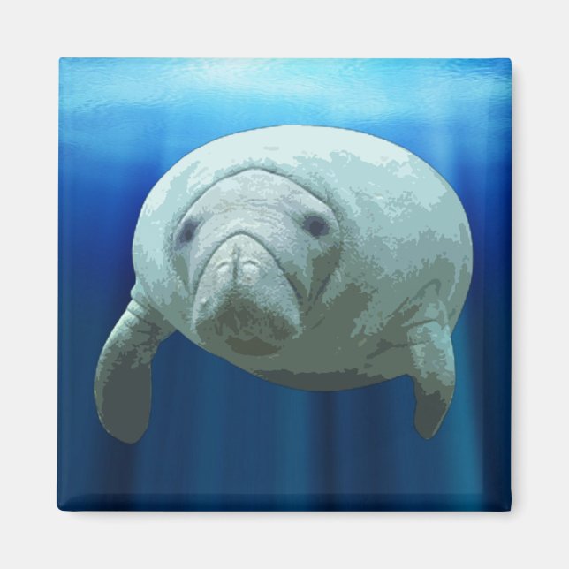 Manatee Magnet (Front)
