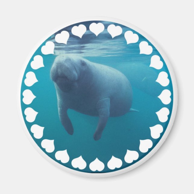 Manatee Magnet (Front)