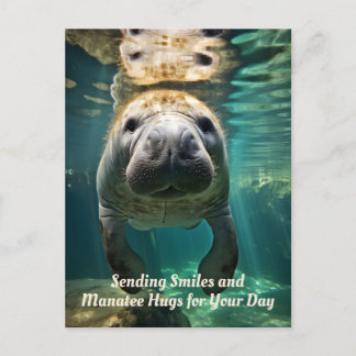 Manatee Marvel: Customisable Manatee Holiday Postcard