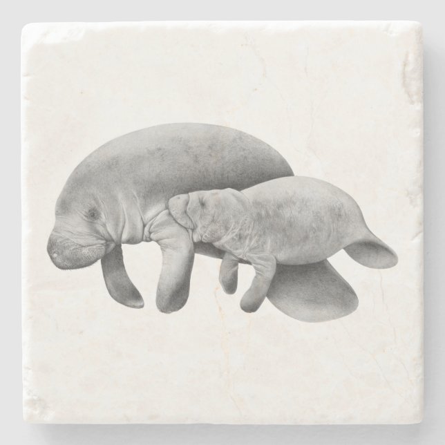 Manatee Mother with Calf Stone Coaster (Front)