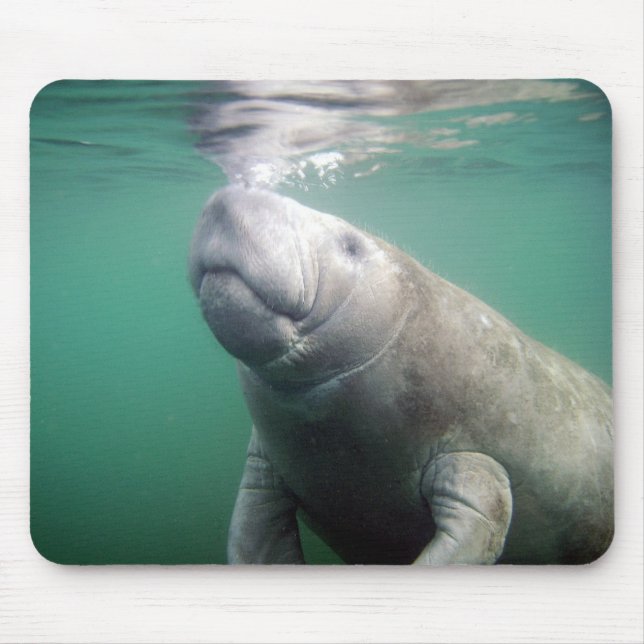Manatee Mouse Mat (Front)