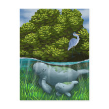 Manatee Mum and Calf