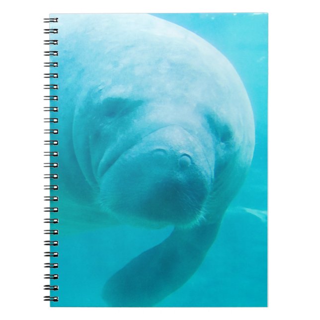 Manatee Notebook (Front)