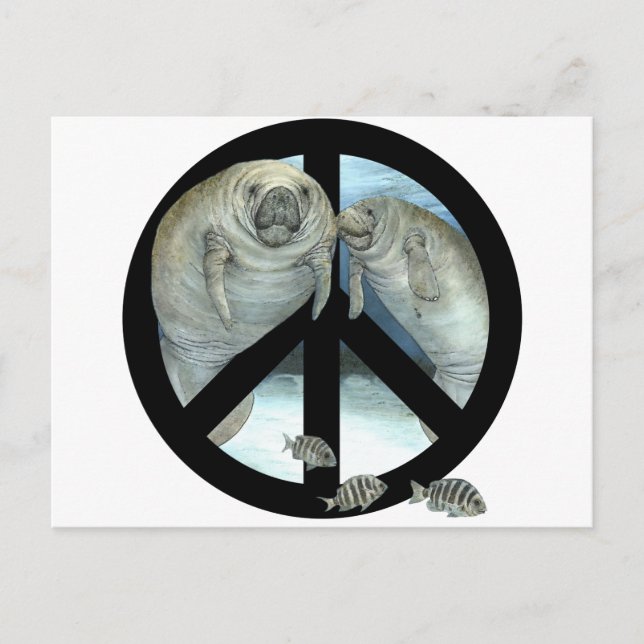 manatee peace postcard (Front)