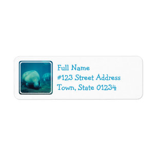 Manatee Photo Mailing Label