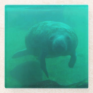 Manatee Photo Square Glass Coaster