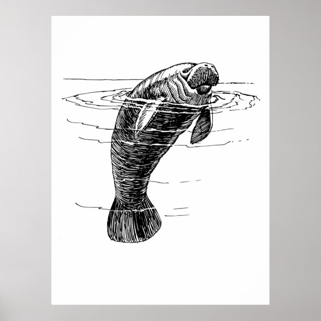 Manatee poster (Front)