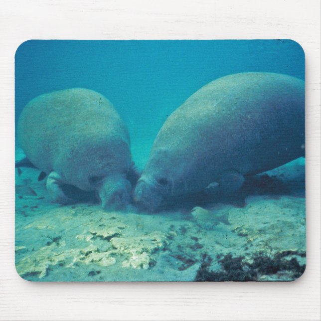 Manatee Rooting in Sand Mouse Mat (Front)