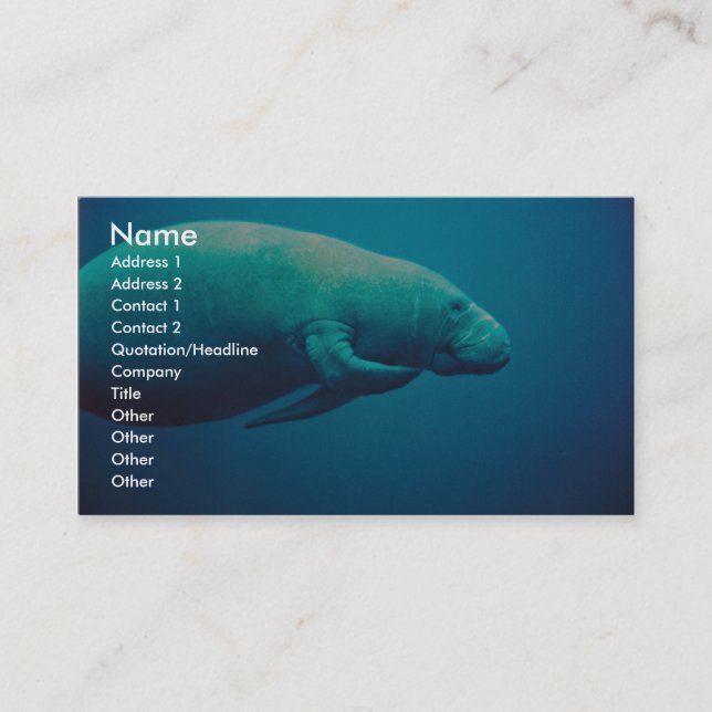 Manatee Scratching Business Card (Front)