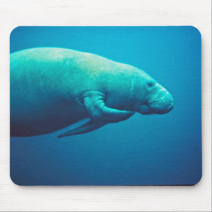 Manatee Scratching Mouse Mat