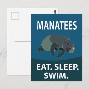 Manatee Sea Cow Animal Manatee Postcard