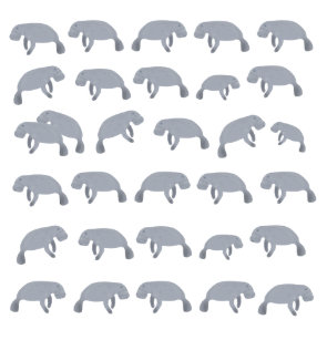 Sea Cow Shower Curtains Zazzle Co Uk