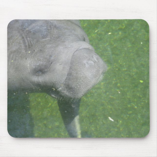 Manatee Smiles mousepad (Front)