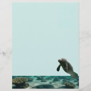 Manatee Stationary