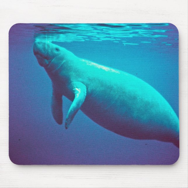 Manatee Surfacing to Breathe Mouse Mat (Front)