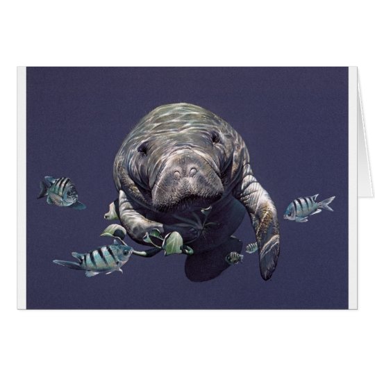 Manatee Underwater World Card
