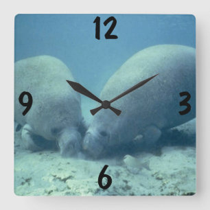 Manatee Wall Clock