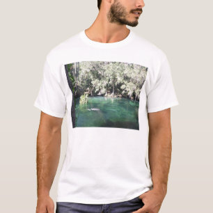 Manatees at Blue Spring Shirt